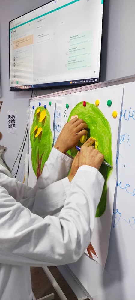 468877525_531356616556037_3204706655592555998_n